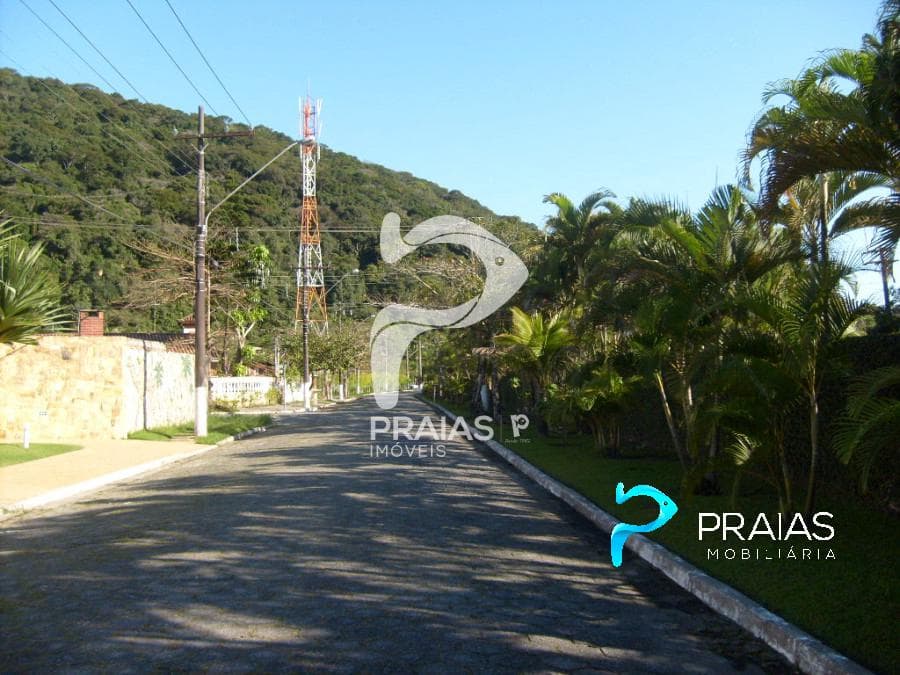 Imagem da propriedade 79162 12