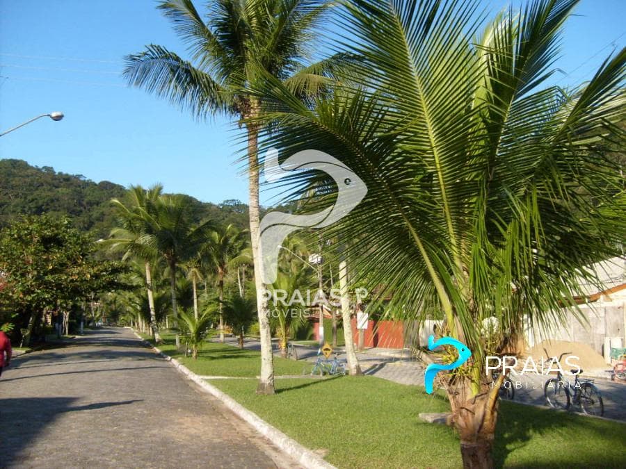 Imagem da propriedade 79162 14