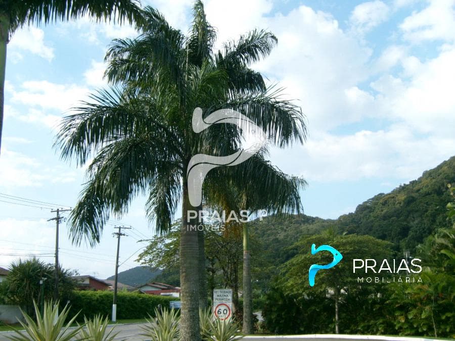 Imagem da propriedade 62157 22