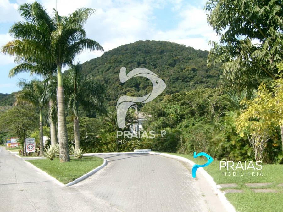 Imagem da propriedade 62157 24